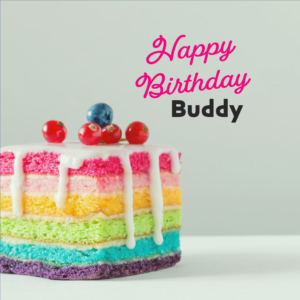 Happy Birthday Wishes For Buddy