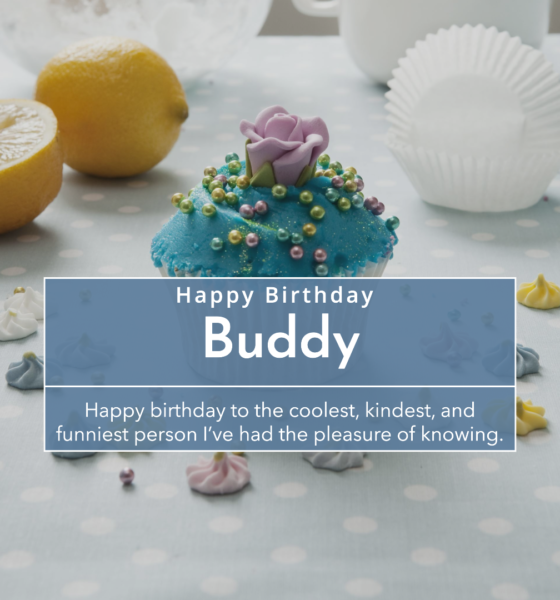 Happy birthday buddy images